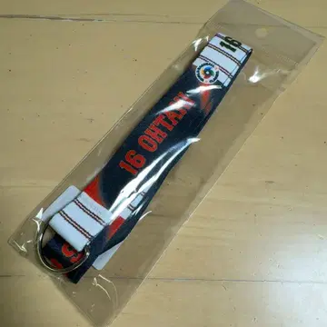 사무라이 재팬 WBC 넥스트랩 오타니 쇼헤이