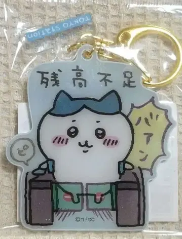 치이카와 도쿄 기념품 렌티큘러 아크릴 키링 (잔액 부족) 하치와레