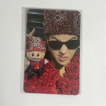 지드래곤 2025 월드 투어 한국 탤런트 카드