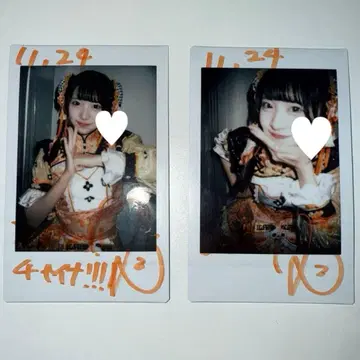 iLiFE! 코구마 마무 폴라로이드