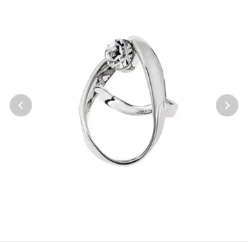 드리스반노튼 반지