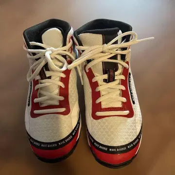 미즈노 웨이브 다이버즈 2 미즈노 웨이브 다이버즈 22.5