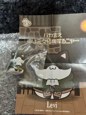 진격의 거인 진격 냥코 리바이 피규어