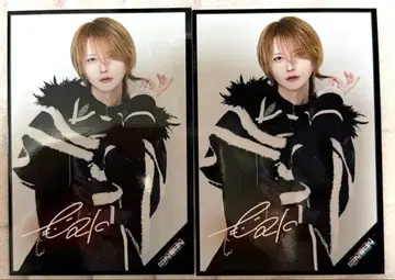 꿈을 먹는 NEON XP!A 츠바키 입장 혜택 브로마이드