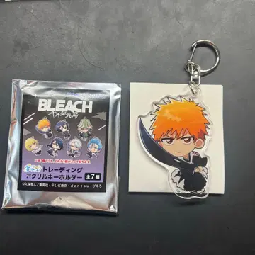 BLEACH 쿠로사키 이치고 오코치 아크릴 키링 트레이딩