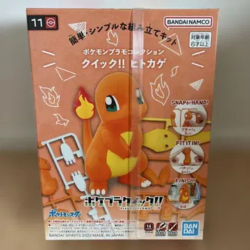 [포켓플라] 꼬부기 포켓몬 프라모델 퀵!! 8569