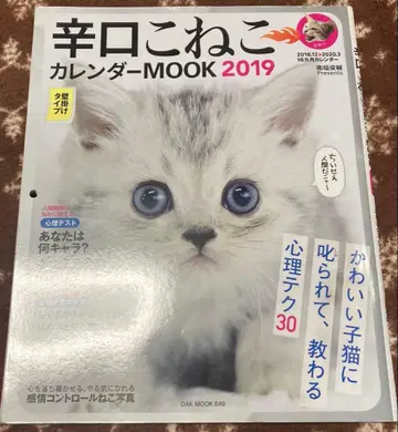 헤이세이 드라이 고양이 달력 2019