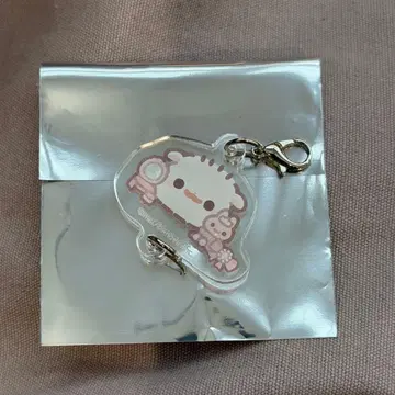 포메라니안 모찌 시라타마 참