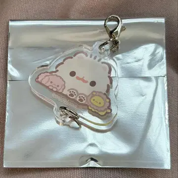 포메라니안 모찌 모찌 참