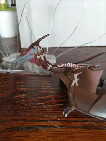 S.H.MonsterArts 라돈 2021