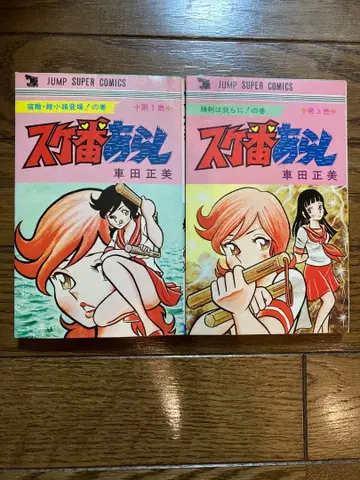 스케반 아라시 전권(2권) 쿠루마다 마사미