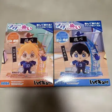 하이큐!! 아크릴 스탠드 아크 누이 히나타 카게야마 2점 세트