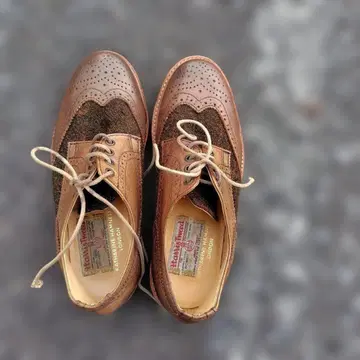 해리스 트위드 윙팁 드레스 슈즈 캐서린 햄넷