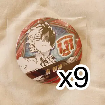 나의 히어로 아카데미아 히로아카 토도로키 쇼토