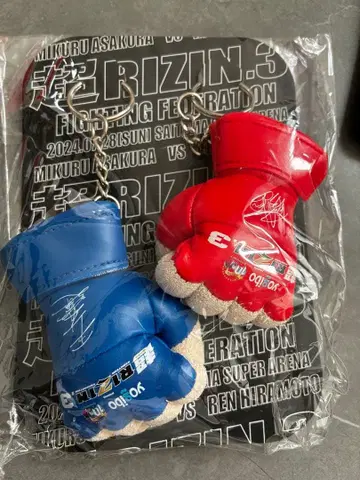 RIZIN.3 사인 포함 미니 복싱 그로브