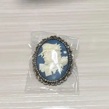 쿠죠 죠타로 죠죠의 기묘한 모험 카메오풍 브로치 컬렉션