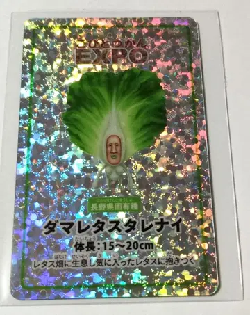 코비토즈칸 엑스포 카드 다마레타스타레나이