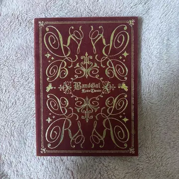 BandSal Radio Theater DVD 인격라디오