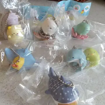 (*^-^*) 스미코구라시 오키나와 츄라우미 수족관의 생물들