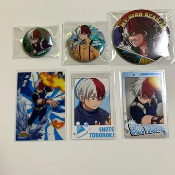 히로아카 토도로키 쇼토 캔뱃지 카드