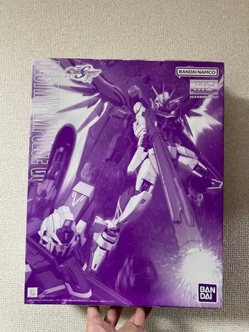 MG 1/100 데스티니 임펄스 건담 R (리제네스)