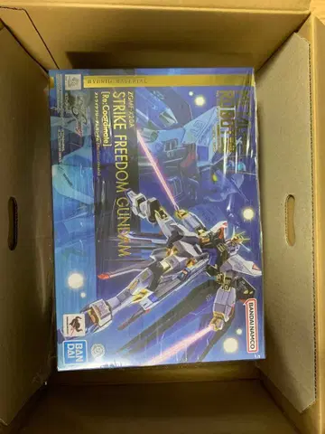 메탈 로봇혼 스트라이크 프리덤 건담 Re:Coordinate