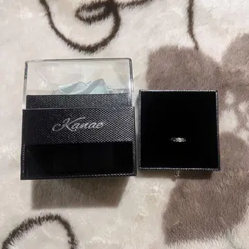 니지산지 카나에 준 브라