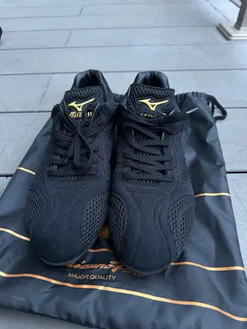 미즈노 프로 금장 스파이크