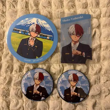 히로아카 시즈오카 철도 토도로키 쇼토 세트