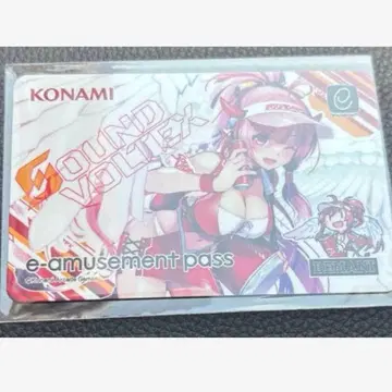 SOUND VOLTEX e-amusement pass 레이시스