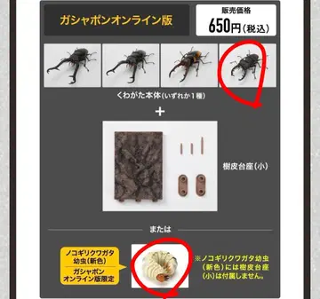 생물대도감 사슴벌레 11 수피 받침대 ( 소 ) 세트