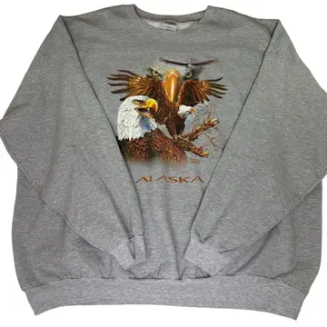 알래스카 Hanes 헤인즈 빈티지 맨투맨 ALASKA 수베니어