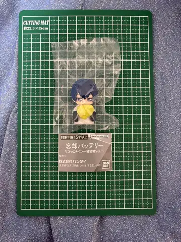 망각 배터리 꼬마 나인 ~연습복 Ver.~ 세이호 하루카