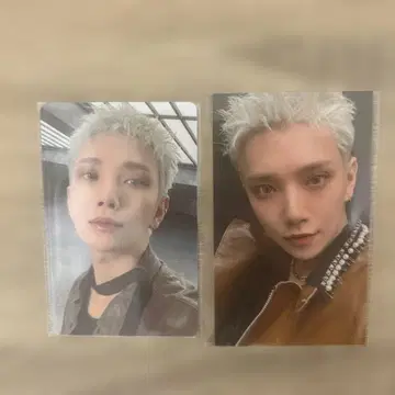 SEVENTEEN 세부치 조슈아 NEW 회장 한정판 트레이딩 카드