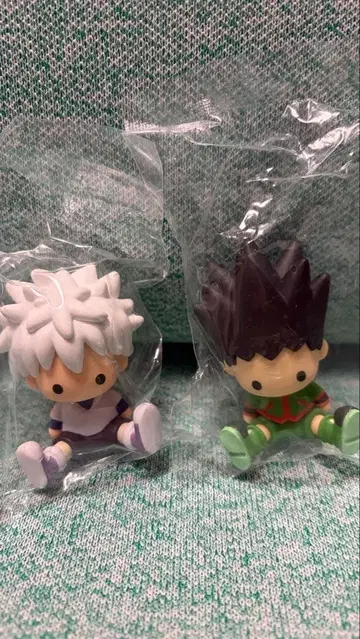 HUNTER x HUNTER 페타도르 곤 키루아 헌터 시험편