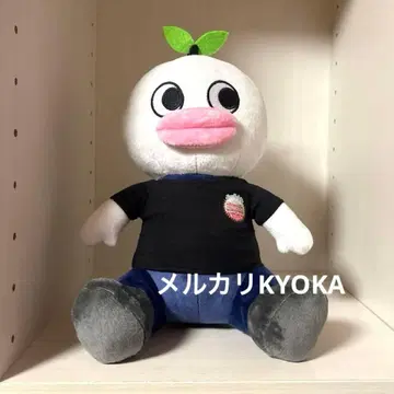 Novelbright 저스틴 CIRCUS 유다이 카이토 소지로 케이고