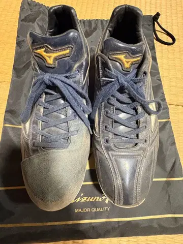 미즈노 프로 오더 스파이크