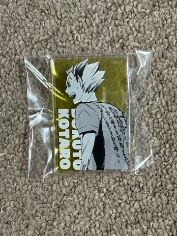 하이큐 보쿠토 코타로