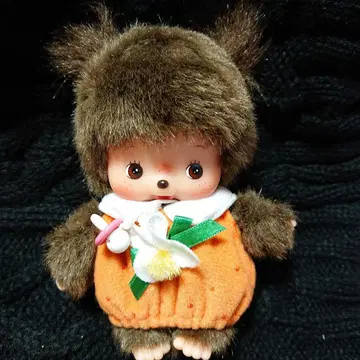 베비치치 오렌지