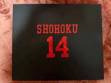 슬램덩크 SHOHOKU 14 정대만(미츠이 히사시) 홈 유니폼