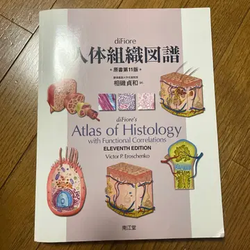 diFiore 인체 조직도감