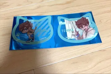 이나즈마 일레븐 마츠카제 텐마 행운 고양이