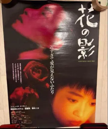 [초레어] 장국영 꽃 그림자 포스터1