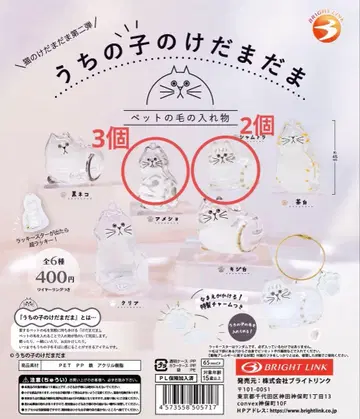 우리 집 아이의 털뭉치 고양이