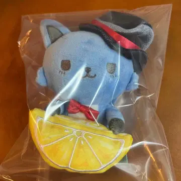 JOCHUM 레인 카와지리 렌