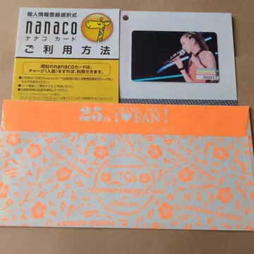 아무로 나미에 nanaco 카드 25주년 기념 라이브