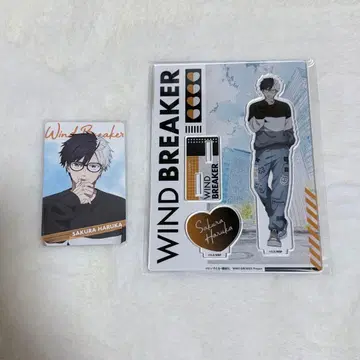 WIND BREAKER Glasses 사쿠라 하루카