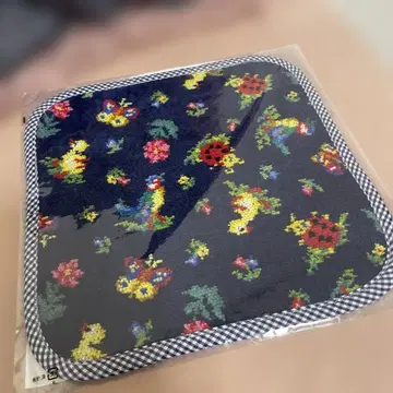 [레어] 페이러 하이디