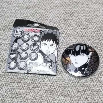 괴수 8호 백은 배지 호시나