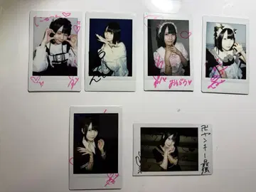 벨로티카 히메사키 노엘 폴라로이드